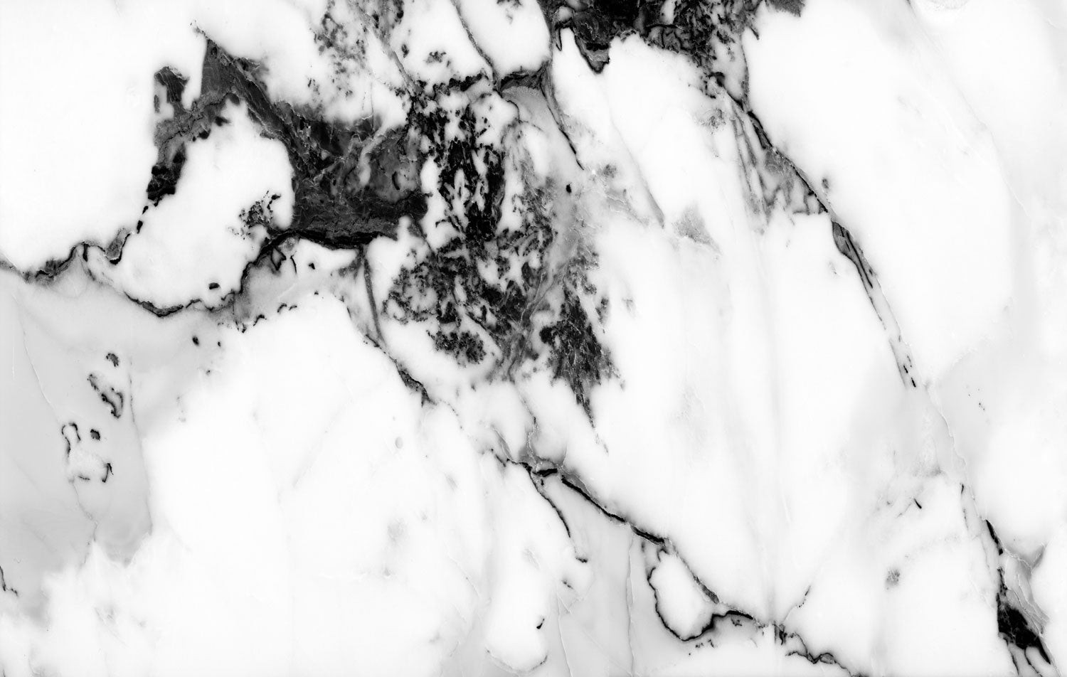 Wallpaper Projects