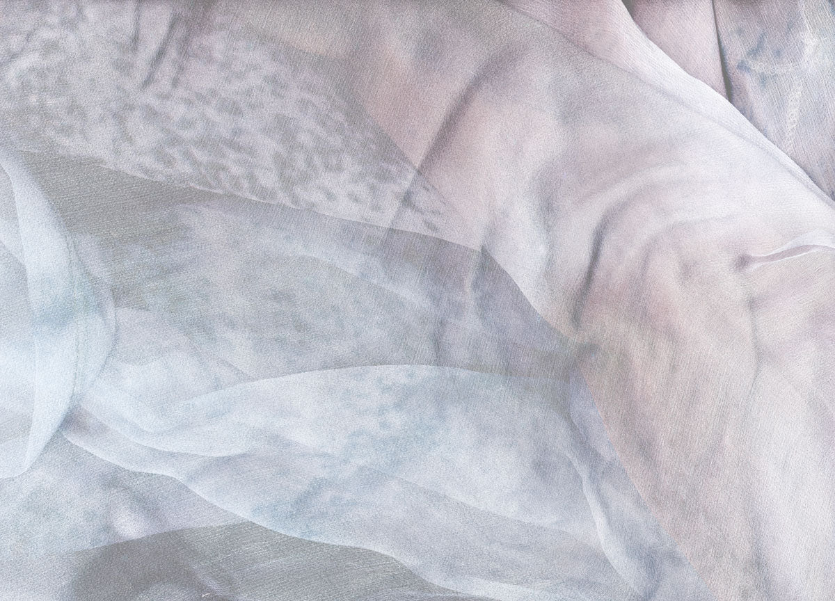 Wallpaper Projects