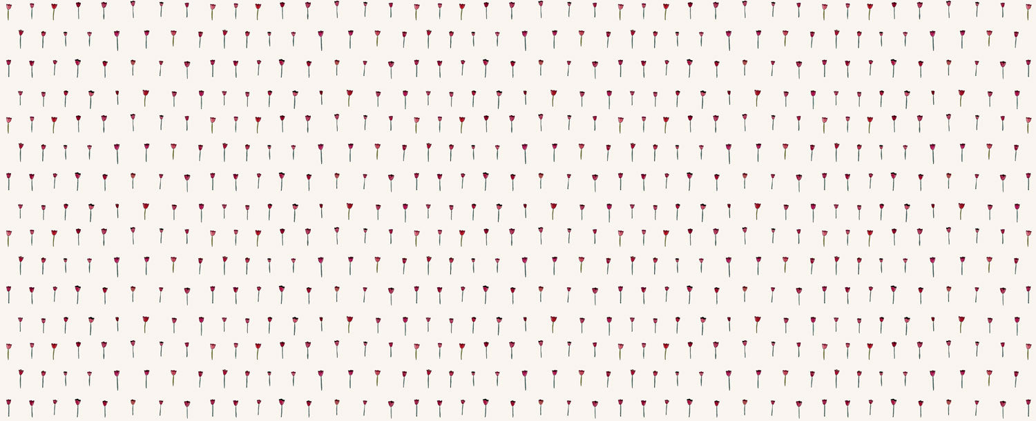 Wallpaper Projects